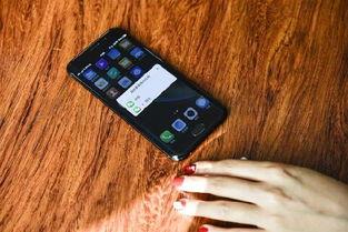 手机国产看片  第2张