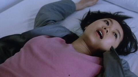 国产伦理电影网  第1张