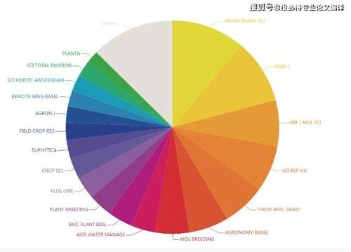 高清国产一区,匠心独运，视觉盛宴  第1张