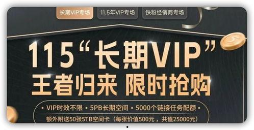 国产vip,引领影视潮流的璀璨明珠  第1张