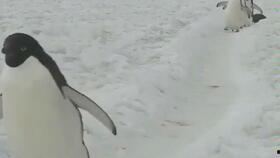 情侣小视频国产区,国产情侣小视频甜蜜瞬间大盘点 第1张 情侣小视频国产区,国产情侣小视频甜蜜瞬间大盘点 第1张