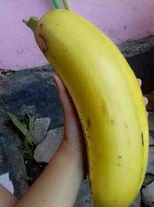 大香蕉国产情侣,甜蜜瞬间,浪漫时光 第1张 大香蕉国产情侣,甜蜜瞬间,浪漫时光 第1张