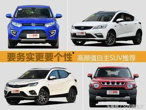 精品国产自,探索我国自主创新的辉煌成就 第1张 精品国产自,探索我国自主创新的辉煌成就 第1张